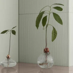 Online Blomus AVO Avocado Starter Vase