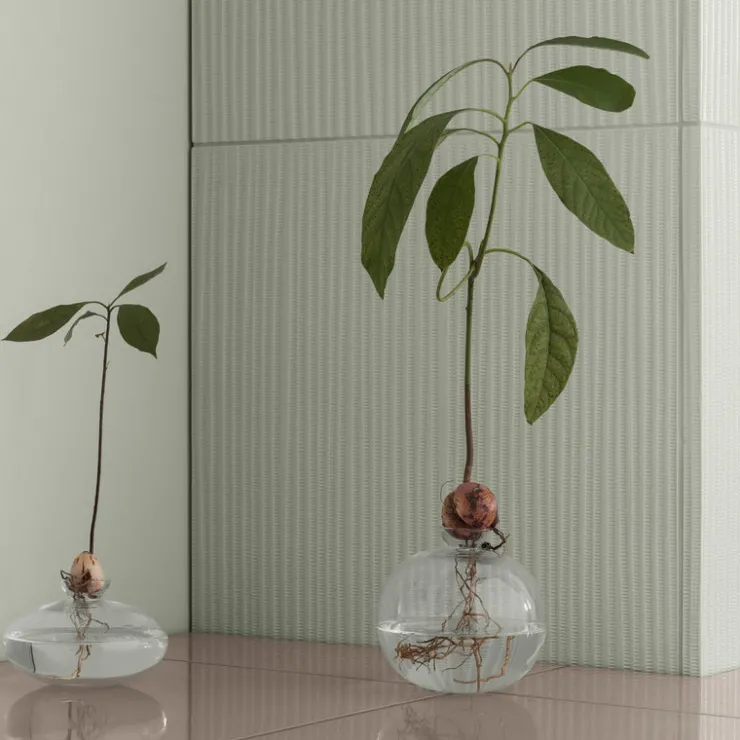 Online Blomus AVO Avocado Starter Vase