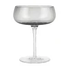 Fashion Blomus BELO Champagne Saucer Glasses - 7 Ounce - Set of 2