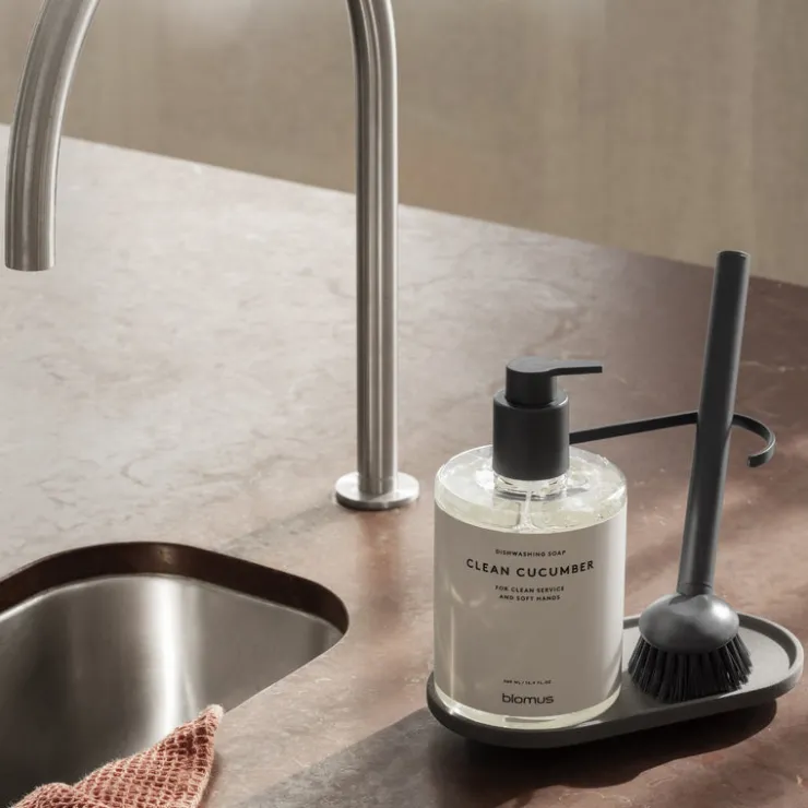 Fashion Blomus DHUVA Dishwashing Set with Brush