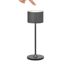 Fashion Blomus FAROL Mobile Rechargeable LED Mini Lamp - Metallic Finish
