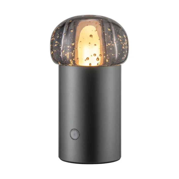 Discount Blomus IRIS Lamp Mobile Rechargeable LED