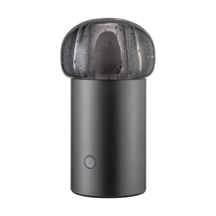 Discount Blomus IRIS Lamp Mobile Rechargeable LED