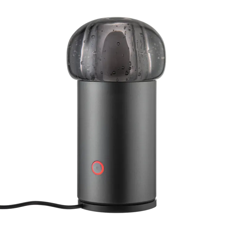Discount Blomus IRIS Lamp Mobile Rechargeable LED